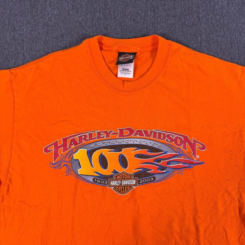 Vintage Y2K Harley Davidson Mens Orange Flames 100 Years T-Shirt Size Large
